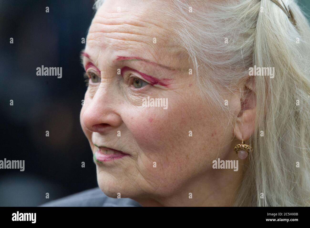 Fashion designer Dame Vivienne Westwood, being interviewed about her anti fracking views, outside Downing Street. Dame Vivienne Westwood had gone to D Stock Photo