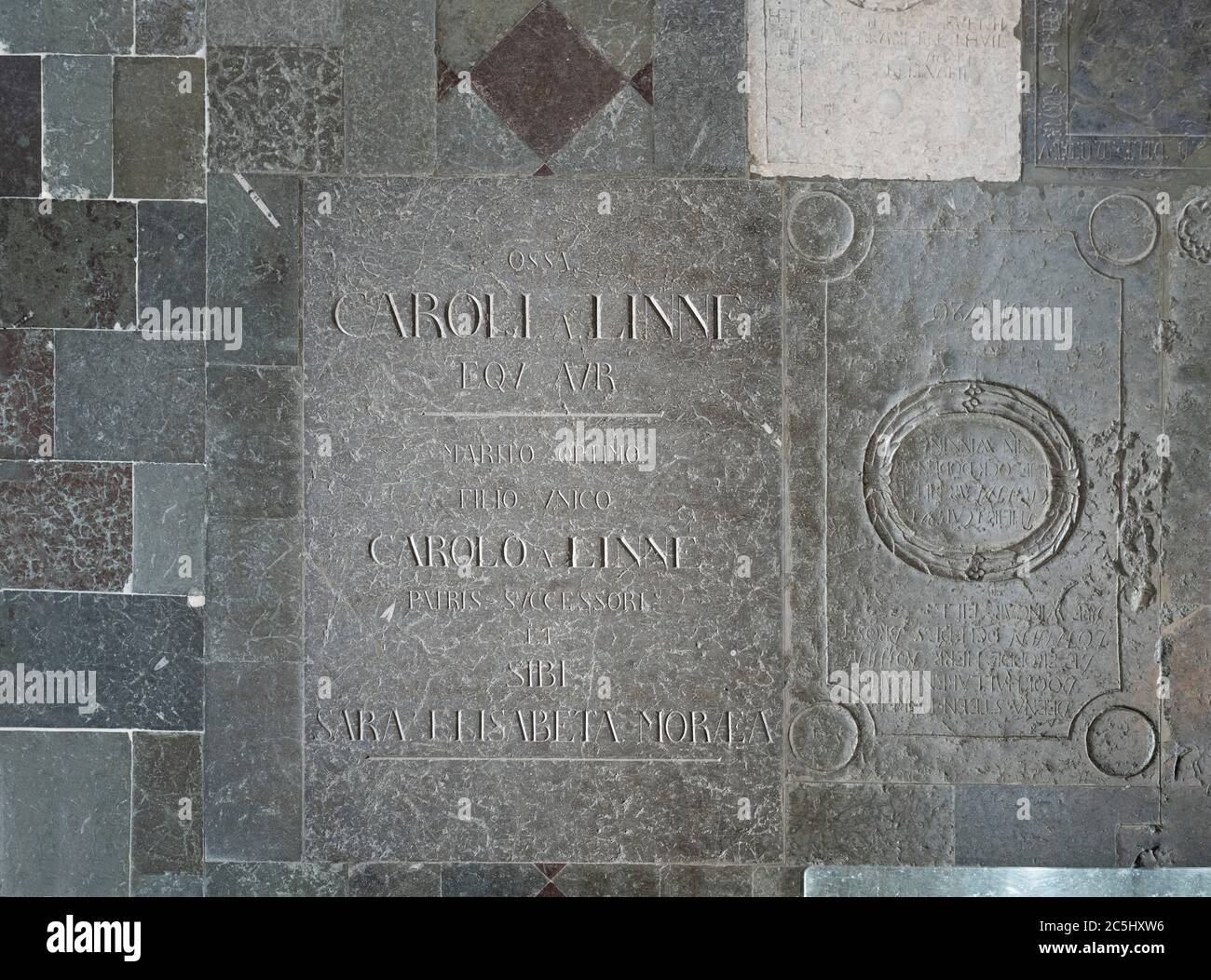 The grave of Carl Linnaeus inside Uppsala Cathedral (Domkyrka). Uppsala, Sweden, Scandinavia. Stock Photo