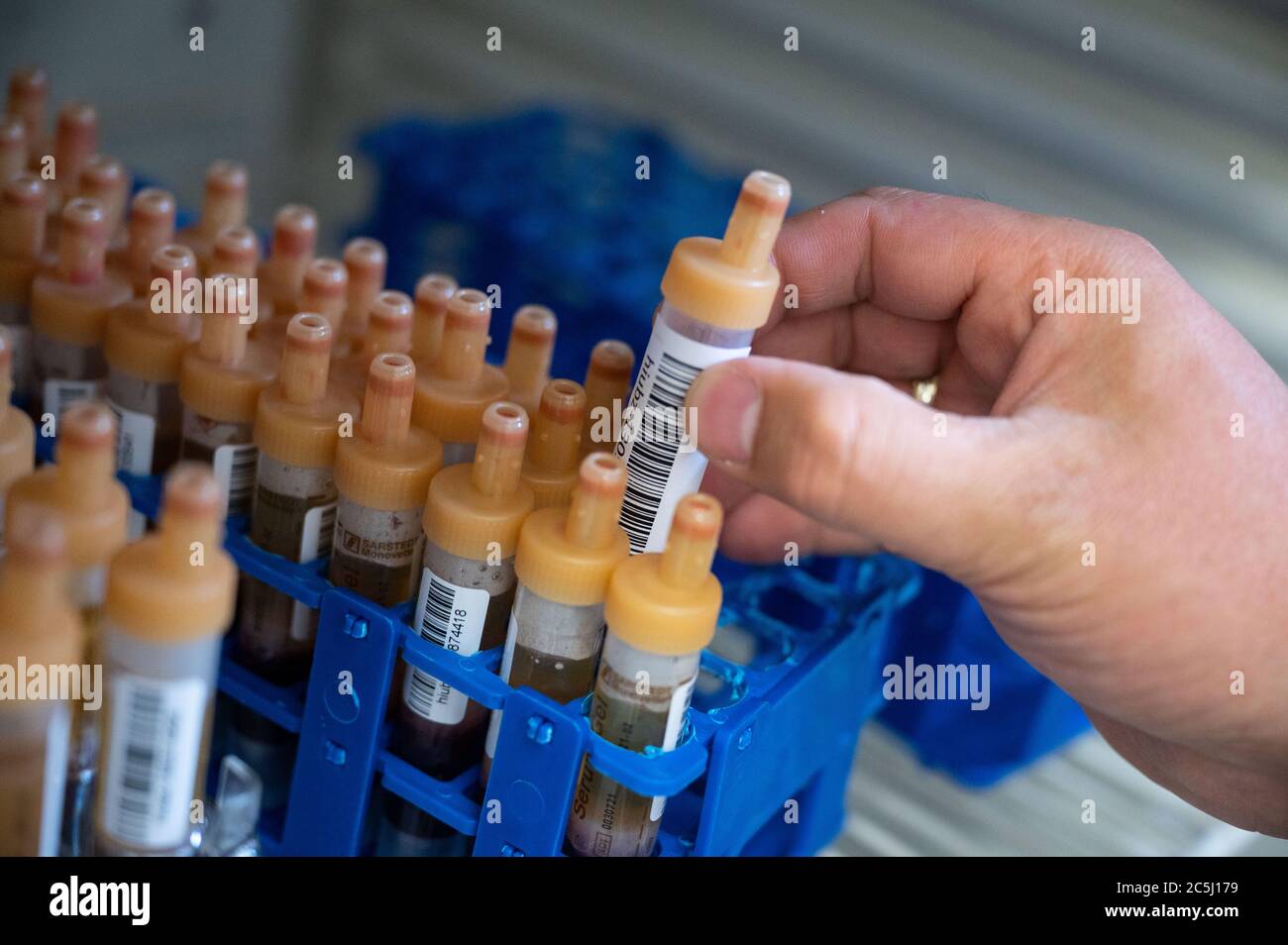 03 July 2020, Baden-Wuerttemberg, Reutlingen: A laboratory technician takes a blood collection tube from a rack at a test centre of the Helmholtz Centre for Infection Research for a nationwide corona antibody study. The institute has started a study with around 60,000 test persons nationwide. In a first round, it is planned to test up to 3000 adult inhabitants of the Reutlingen district. Photo: Marijan Murat/dpa Stock Photo