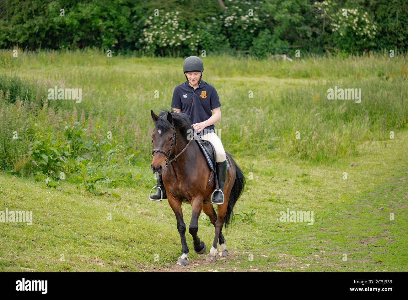 Young man in full equestrian safety gear seen riding a horse in an outdoor location Stock Photo