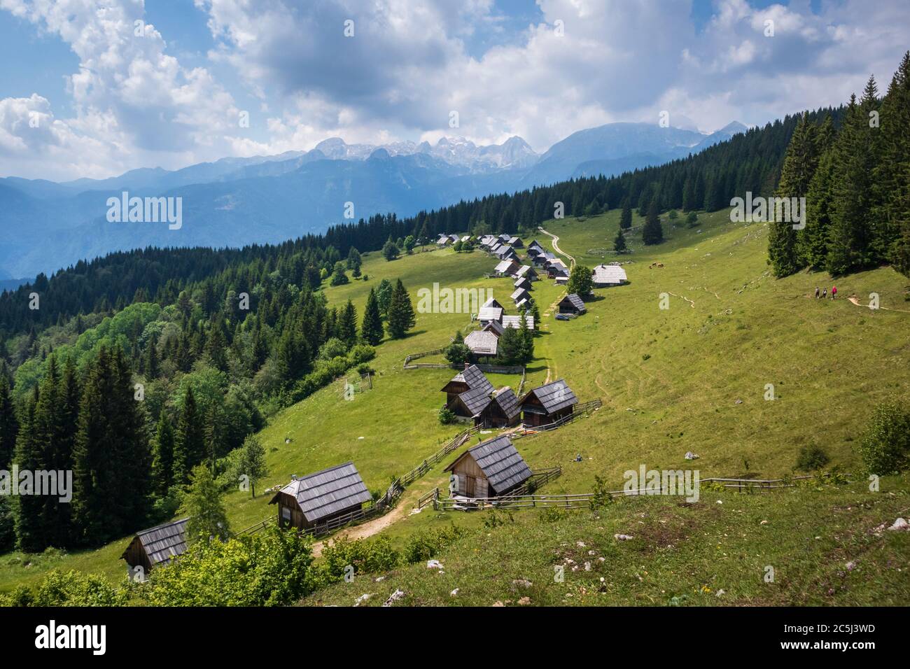 Zajamniki on a plateau Pokljuka in Julian Alps, Triglav national park, Slovenia Stock Photo