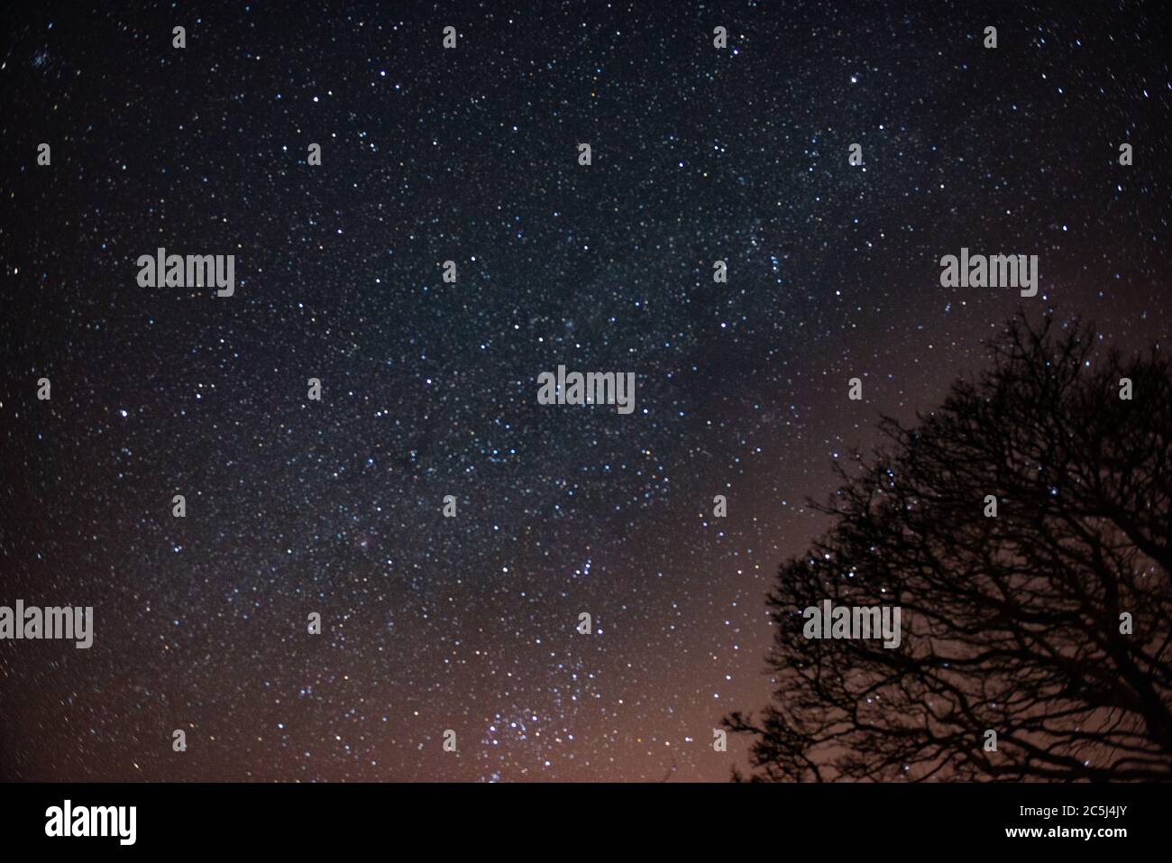 Northern constellation hi-res stock photography and images - Page 12 - Alamy