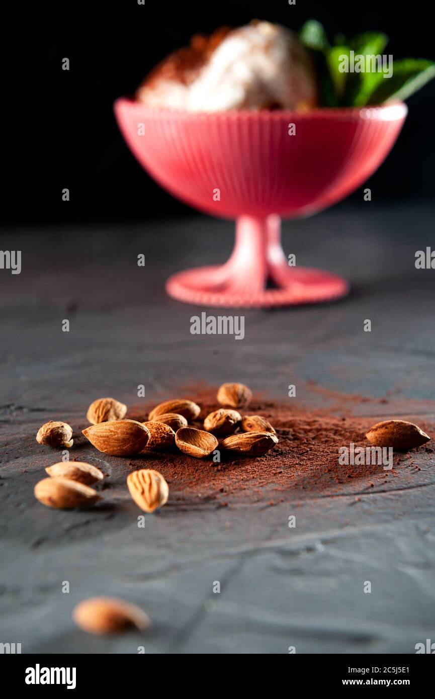 cocoa beans and ice cream with mint in the background in a blur and on the grey background Stock Photo