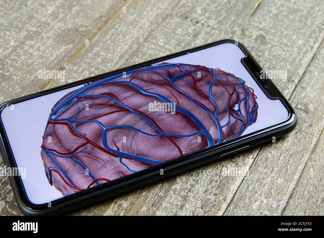 Viersen, Germany - June 28. 2020: View on isolated mobile phone with drawing of human brain on display (focus on phone) Stock Photo