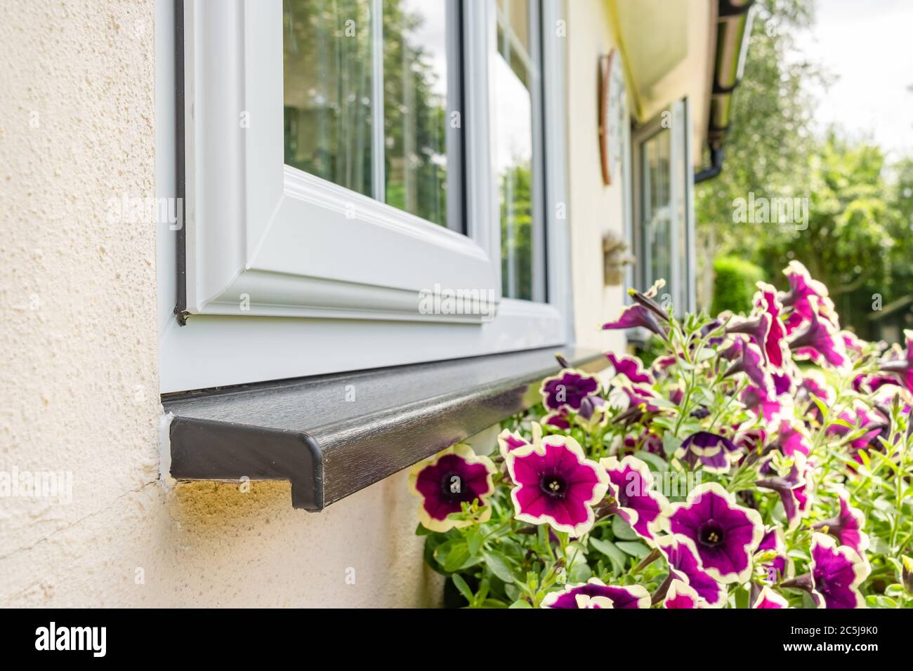 Brand new installed double glazing windows seen installed on a house annex. A pretty flowering
