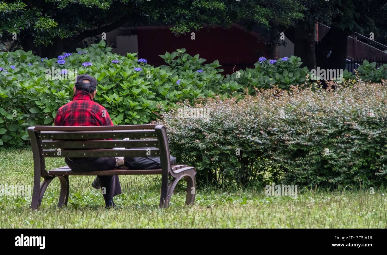 Old man sitting alone on a wooden bench in Yoyogi Park, Tokyo, Japan Stock Photo