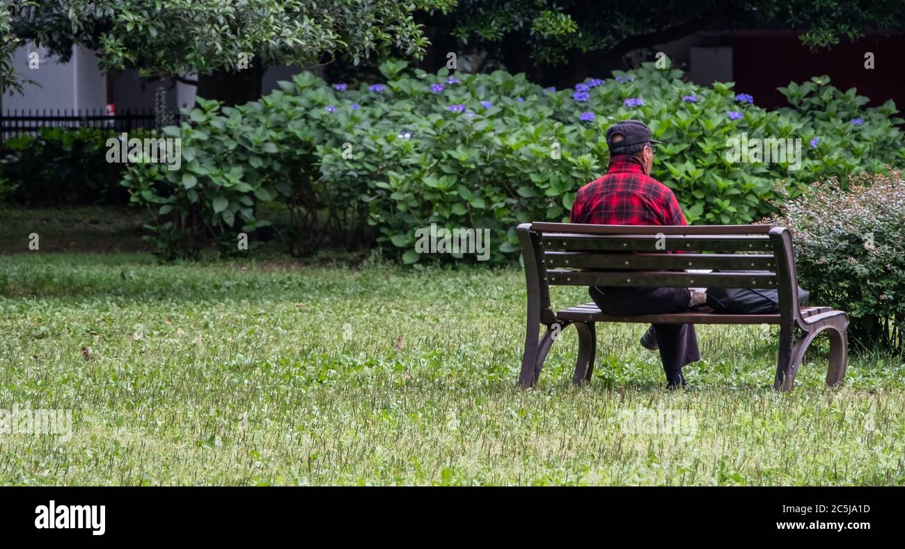 Old man sitting alone on a wooden bench in Yoyogi Park, Tokyo, Japan Stock Photo