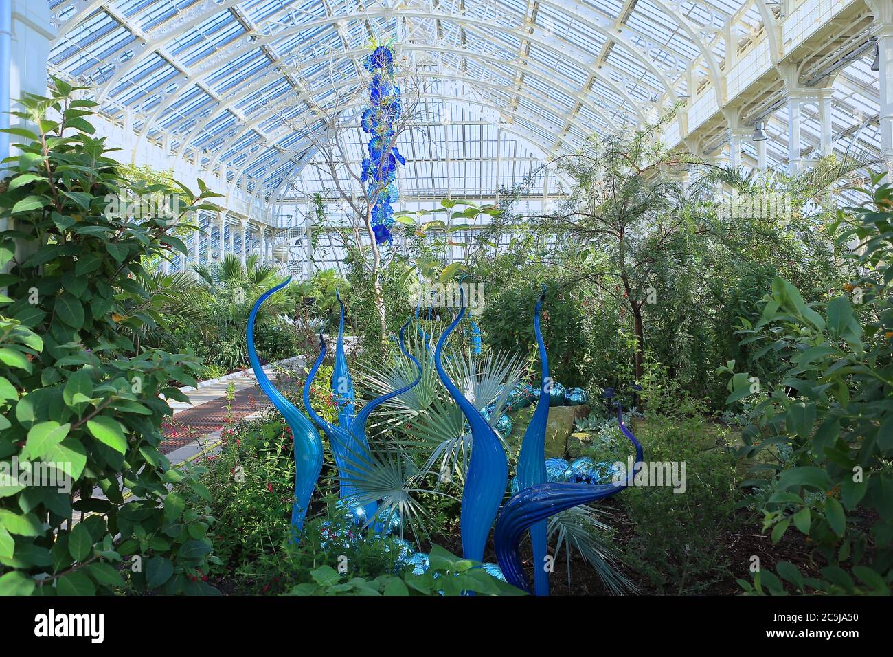 32 art installations were situated across the Gardens in a wide variety of locations. As visitors enter through Victoria Gate, they saw Sapphire Star, the individual blown glass forms of which will radiate outward to create a celestial visual experience. The vibrant blue colour of Sapphire Star is highly concentrated at the centre, where the individual glass elements meet and become increasingly opaque. The artwork’s translucent, achromatic tips reflect light and add to its intense radiance. Chihuly's work has been exhibited in more than 240 museums around the world in his 50 year career . Stock Photo