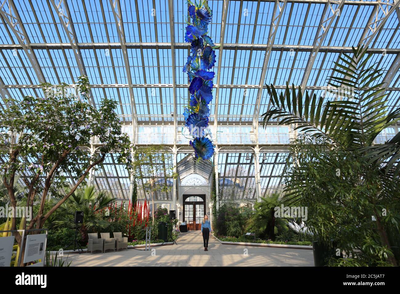 32 art installations were situated across the Gardens in a wide variety of locations. As visitors enter through Victoria Gate, they saw Sapphire Star, the individual blown glass forms of which will radiate outward to create a celestial visual experience. The vibrant blue colour of Sapphire Star is highly concentrated at the centre, where the individual glass elements meet and become increasingly opaque. The artwork’s translucent, achromatic tips reflect light and add to its intense radiance. Chihuly's work has been exhibited in more than 240 museums around the world in his 50 year career . Stock Photo