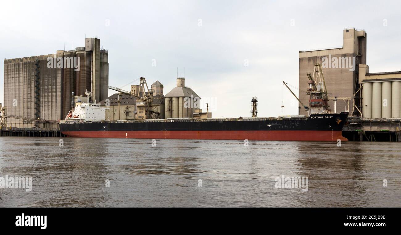 Bulk Carrier Fortune Daisy at the Jetty in Brake, River Weser, Germany Stock Photo
