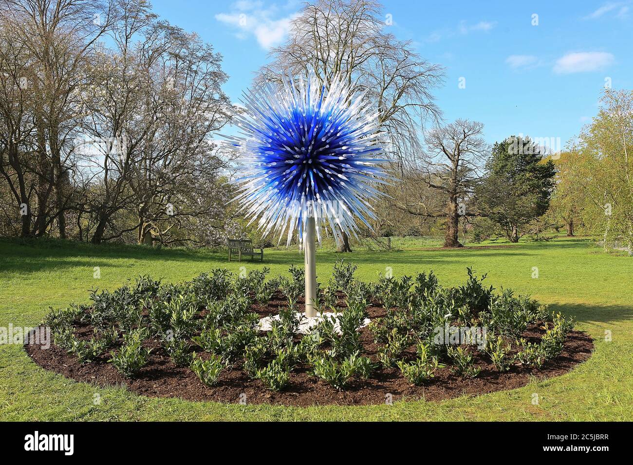 32 art installations were situated across the Gardens in a wide variety of locations. As visitors enter through Victoria Gate, they saw Sapphire Star, the individual blown glass forms of which will radiate outward to create a celestial visual experience. The vibrant blue colour of Sapphire Star is highly concentrated at the centre, where the individual glass elements meet and become increasingly opaque. The artwork’s translucent, achromatic tips reflect light and add to its intense radiance. Chihuly's work has been exhibited in more than 240 museums around the world in his 50 year career . Stock Photo
