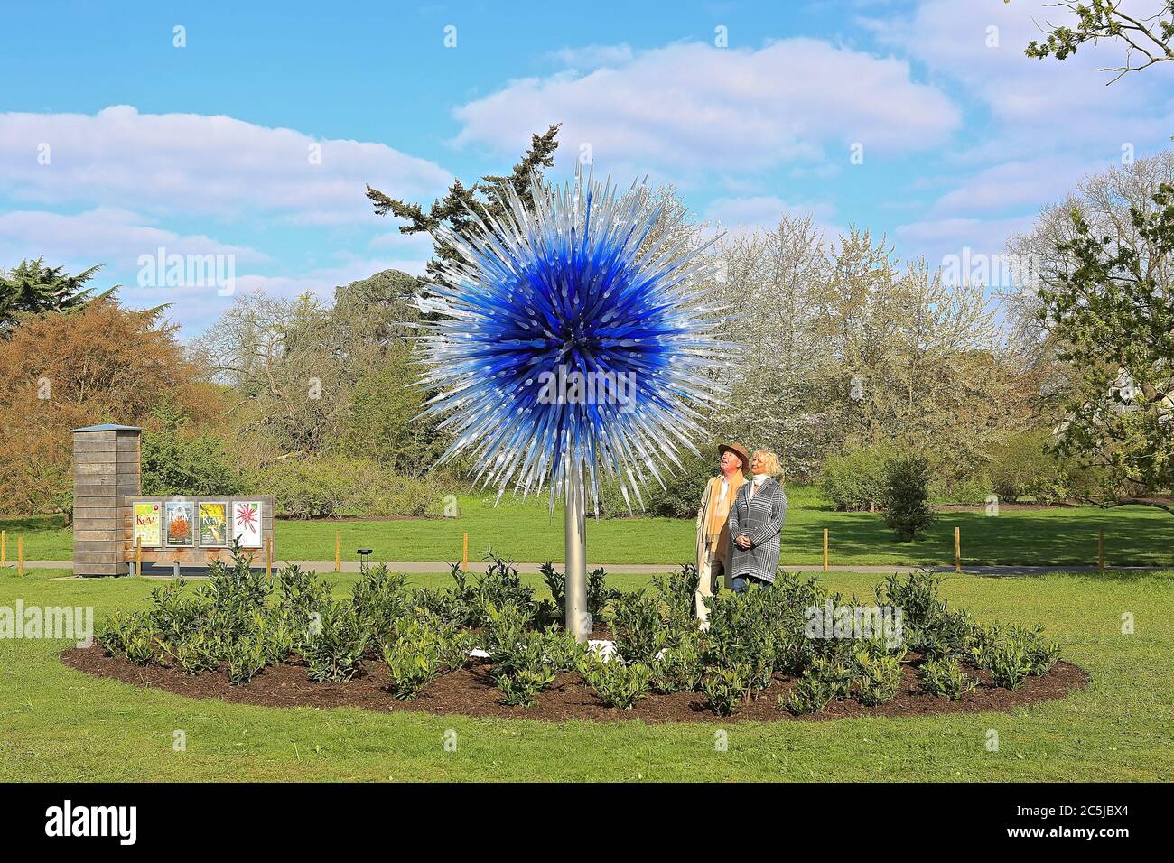 32 art installations were situated across the Gardens in a wide variety of locations. As visitors enter through Victoria Gate, they saw Sapphire Star, the individual blown glass forms of which will radiate outward to create a celestial visual experience. The vibrant blue colour of Sapphire Star is highly concentrated at the centre, where the individual glass elements meet and become increasingly opaque. The artwork’s translucent, achromatic tips reflect light and add to its intense radiance. Chihuly's work has been exhibited in more than 240 museums around the world in his 50 year career . Stock Photo