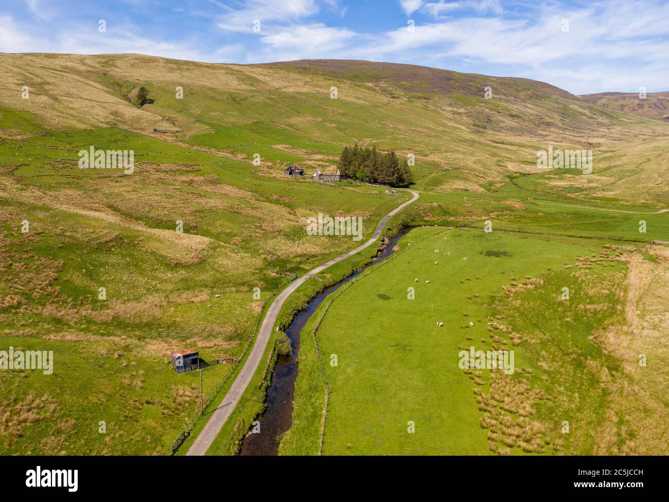 Tarras Valley, part of the Langholm Moor community buyout to purchase land from Buccleuch Estates to create the Tarras Valley Nature Reserve. Stock Photo