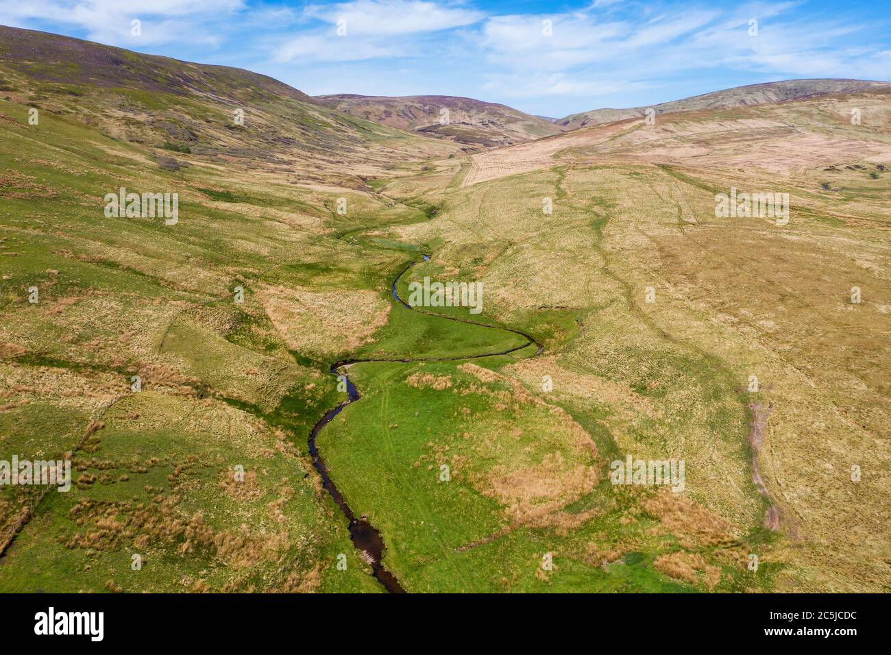 Tarras Valley, part of the Langholm Moor community buyout to purchase land from Buccleuch Estates to create the Tarras Valley Nature Reserve. Stock Photo