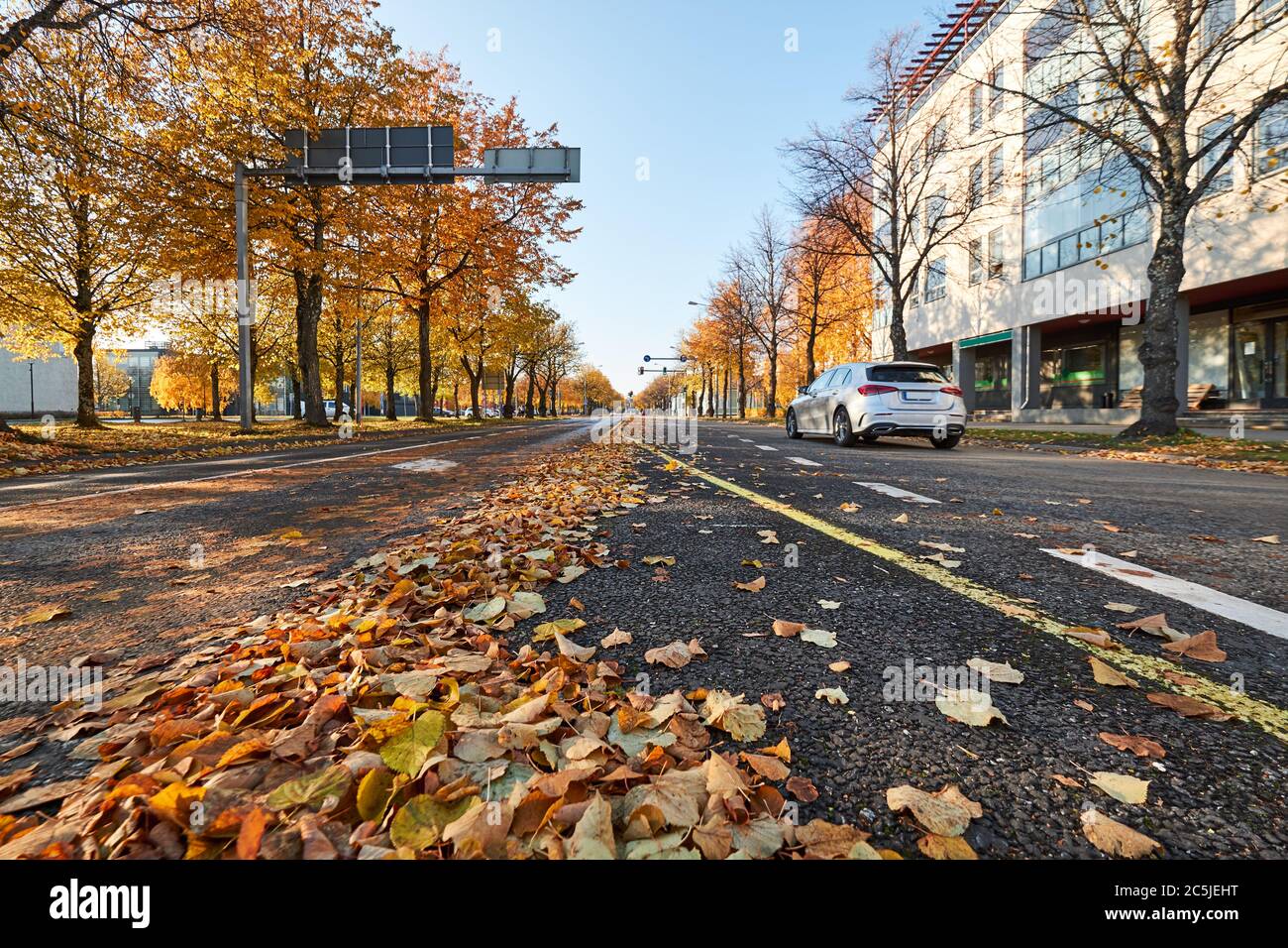 Street with moving car, autumn trees and leaves all around in the center of city. Finland Stock Photo