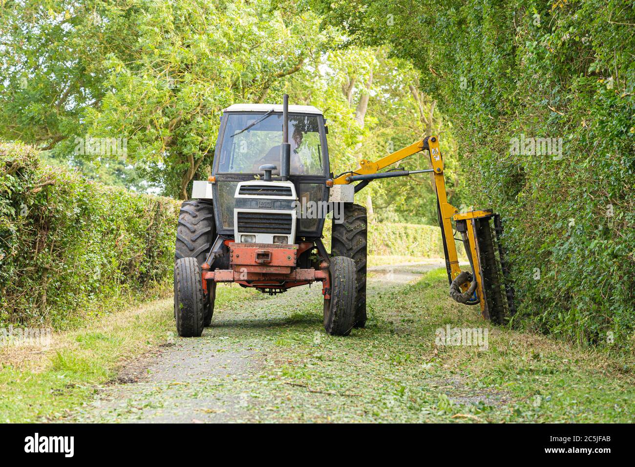 Front view of man in a tractor using a flail hedge cutter to cut hedges in a country lane. Much Hadham. Rear view version available in my portfolio. Stock Photo