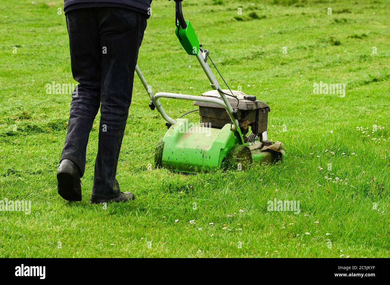 Gardener in action mowing green grass lawn with push mower Stock