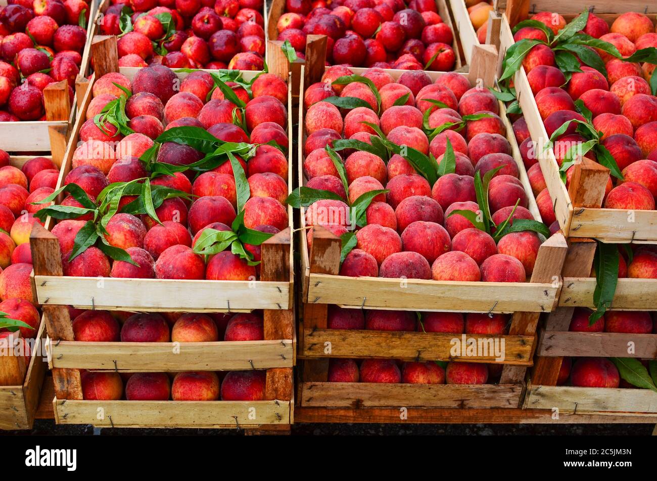 Fresh ripe red peaches hi-res stock photography and images - Alamy