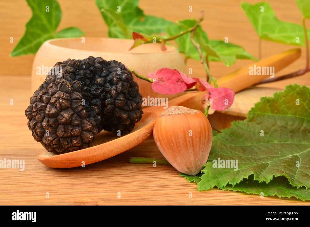 Black truffle in wooden spoon and hazelnut on wooden background, decorated with some green and red leaves Stock Photo