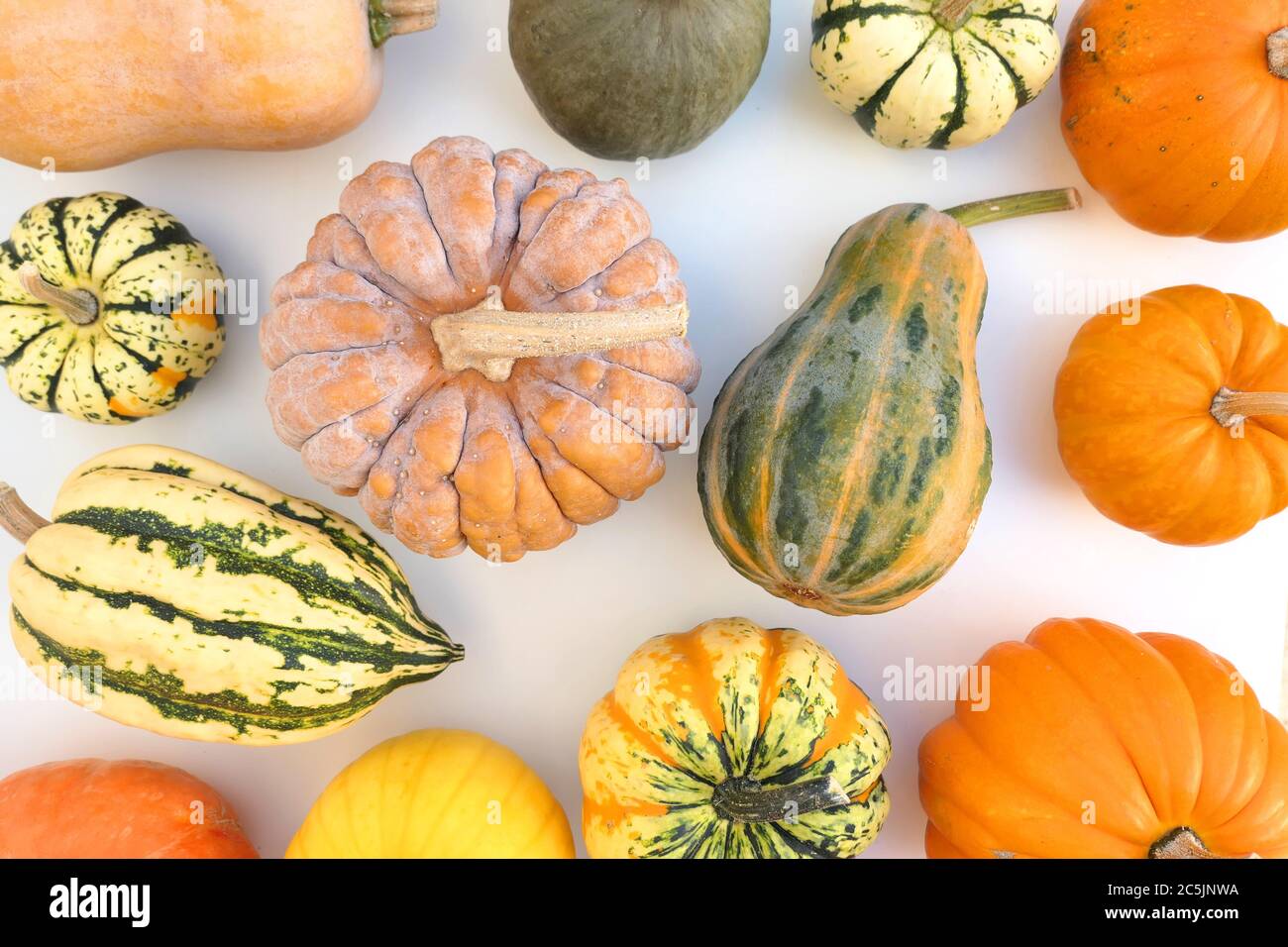 Pumpkins and squashes varieties. Decorative food background Stock Photo