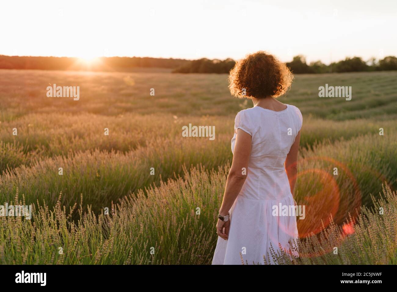 Beautiful woman in a white dress walks in the lavender field against ...