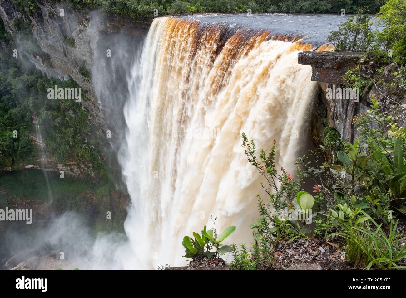 Kaieteur Falls on the Potaro River in the Kaieteur National Park, Guyana, South America. Largest