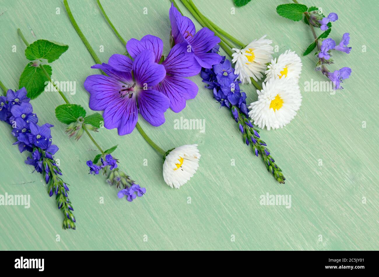 Garden flowers on a wooden table. Stock Photo