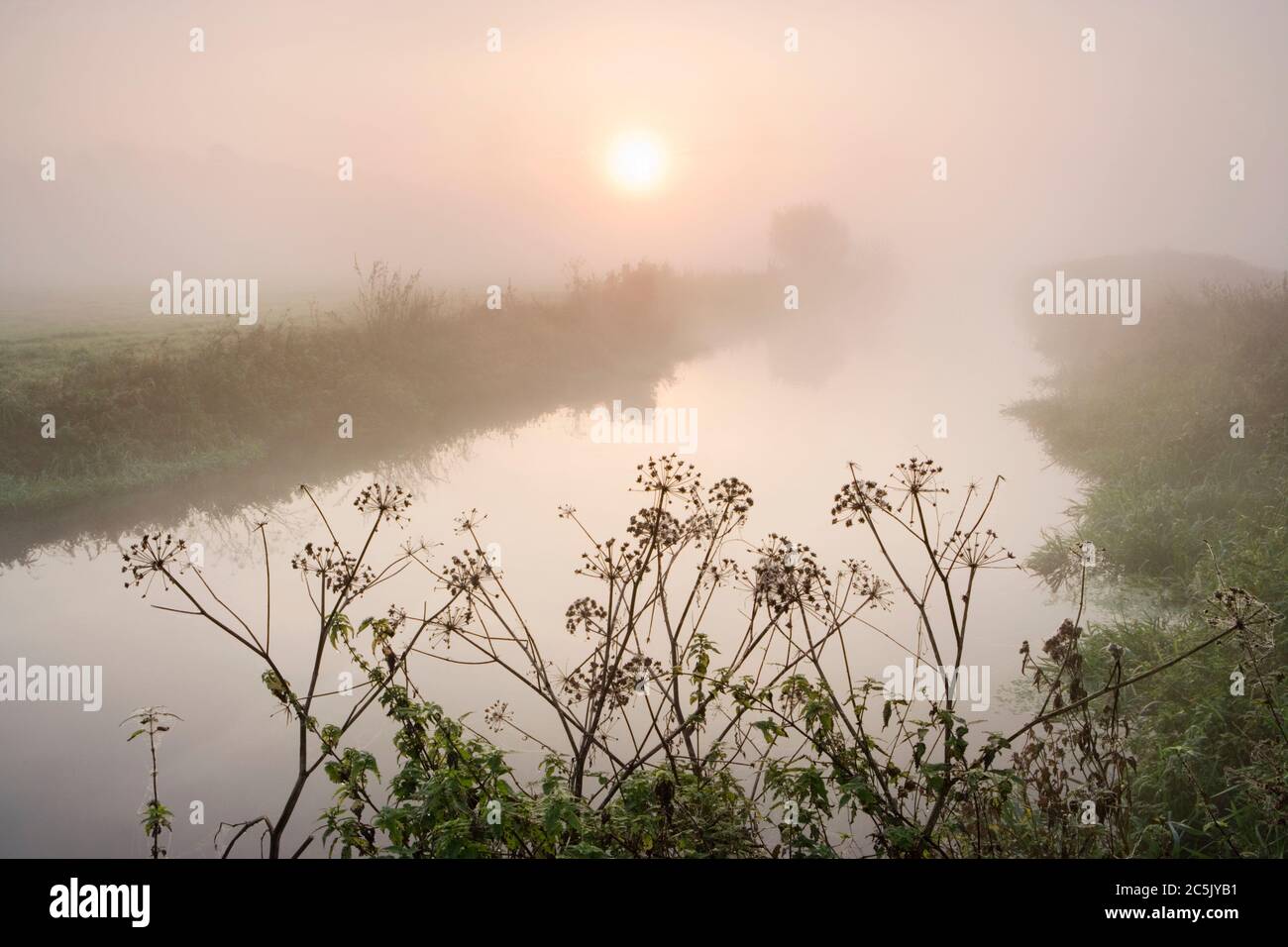 Misty dawn on River Wey near Send, Surrey, UK. Stock Photo