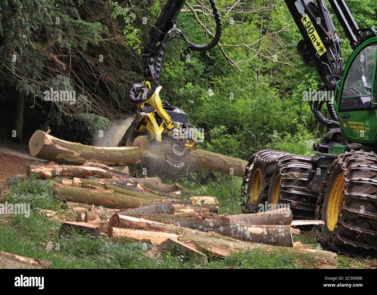Logging machine at work in the Chiltern Hills in England Stock Photo