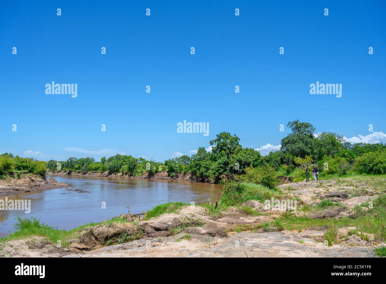 Tourists and park rangers looking at hippos in the Mara River, Mara Triangle, Masai Mara National Reserve, Kenya, East Africa Stock Photo