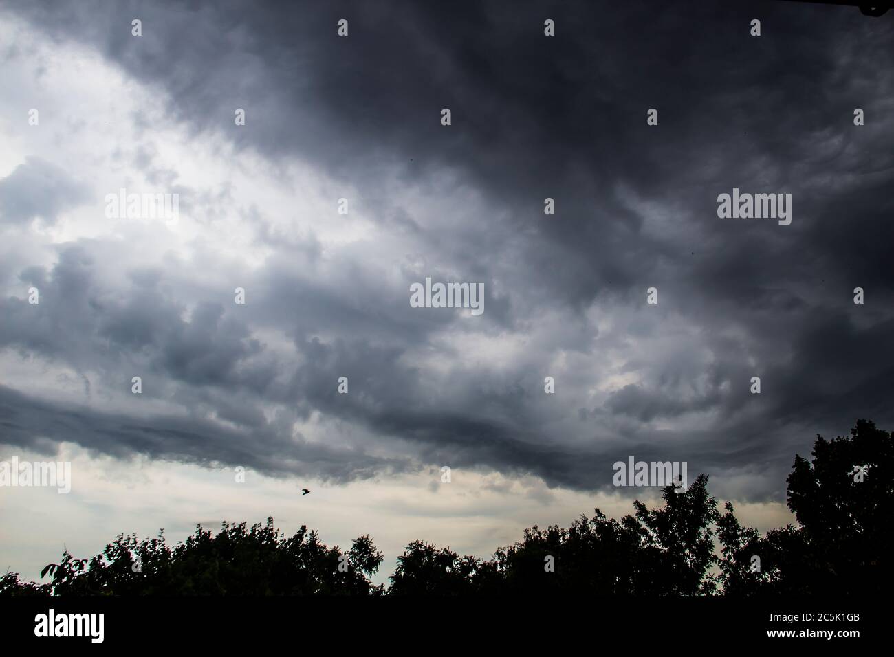 The storm is approaching. A gray sky above trees. Amazing views of ...