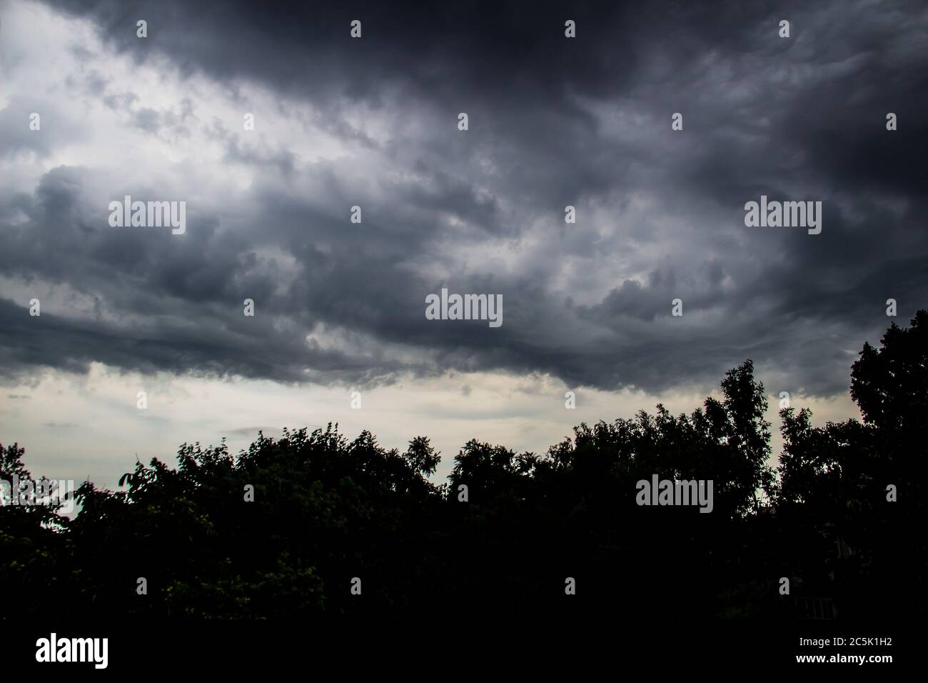 The storm is approaching. A gray sky above trees. Amazing views of ...