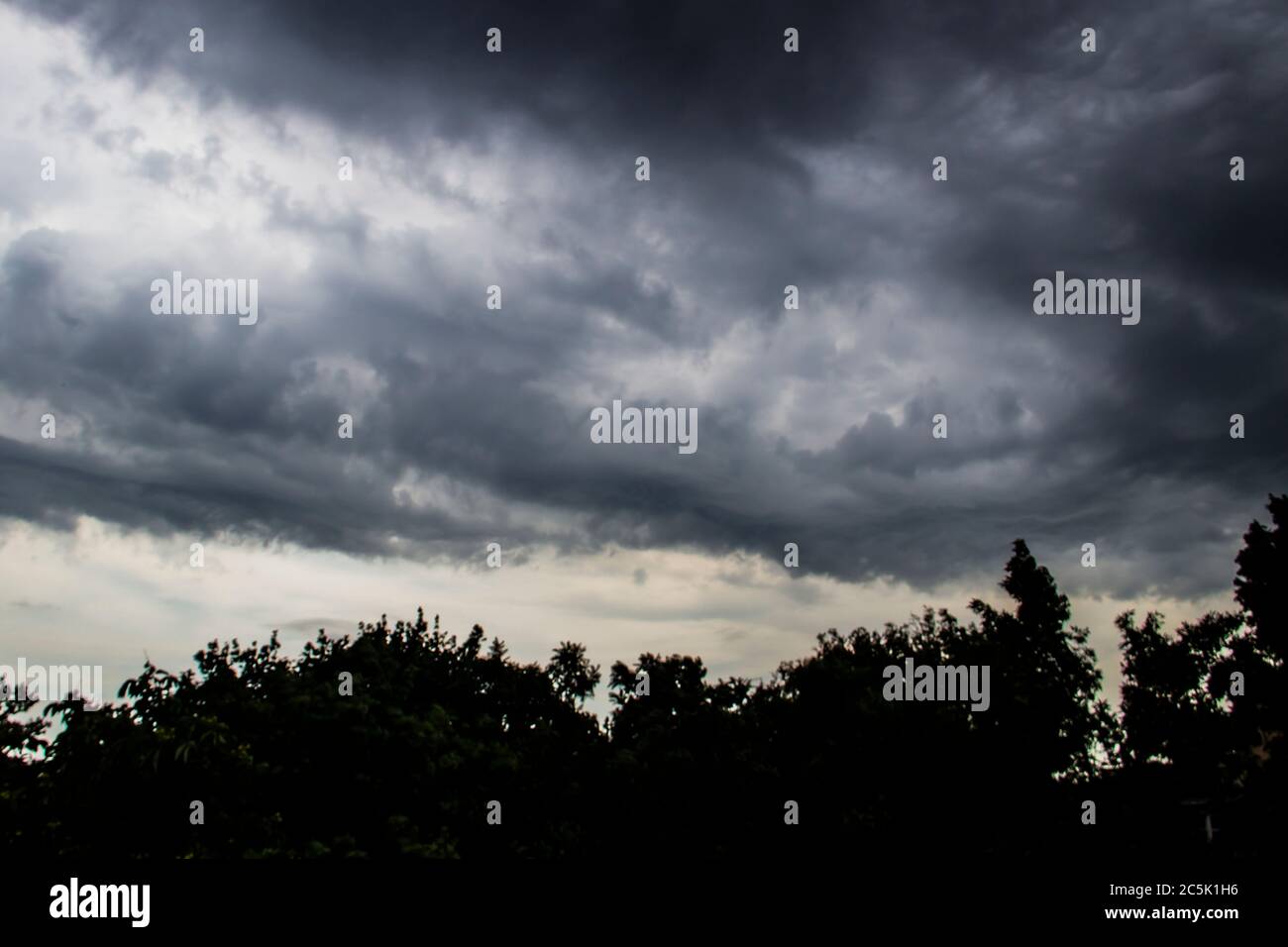 The storm is approaching. A gray sky above trees. Amazing views of ...