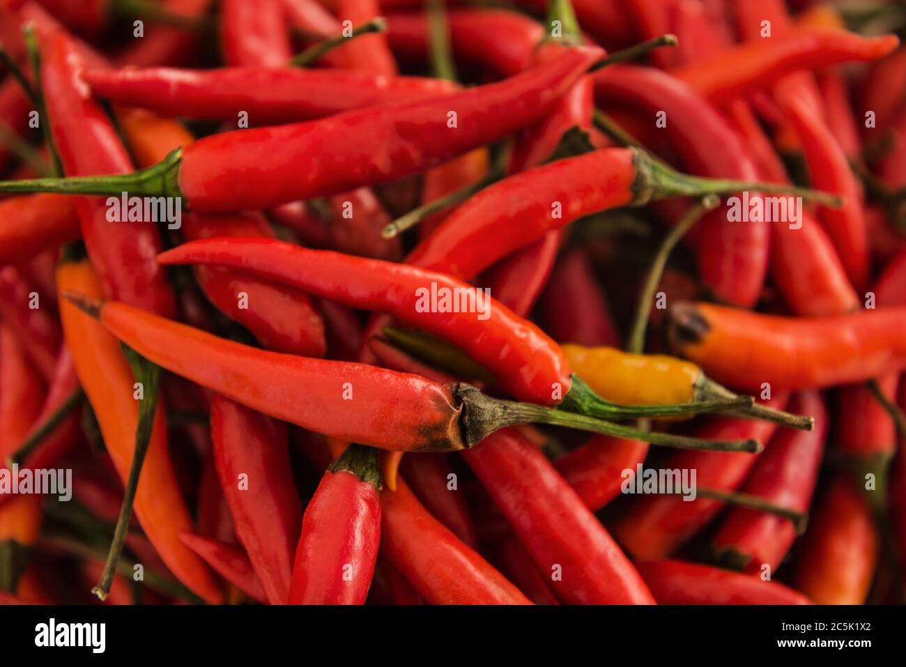 spicy chili peppers Stock Photo