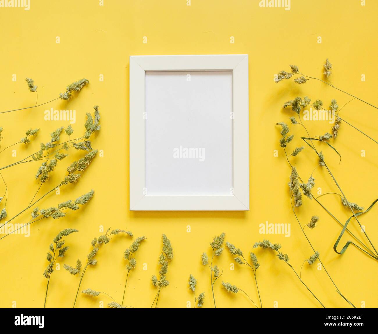 summer-autumn concept. spikelets of grass and frame on a yellow background. background for text Stock Photo