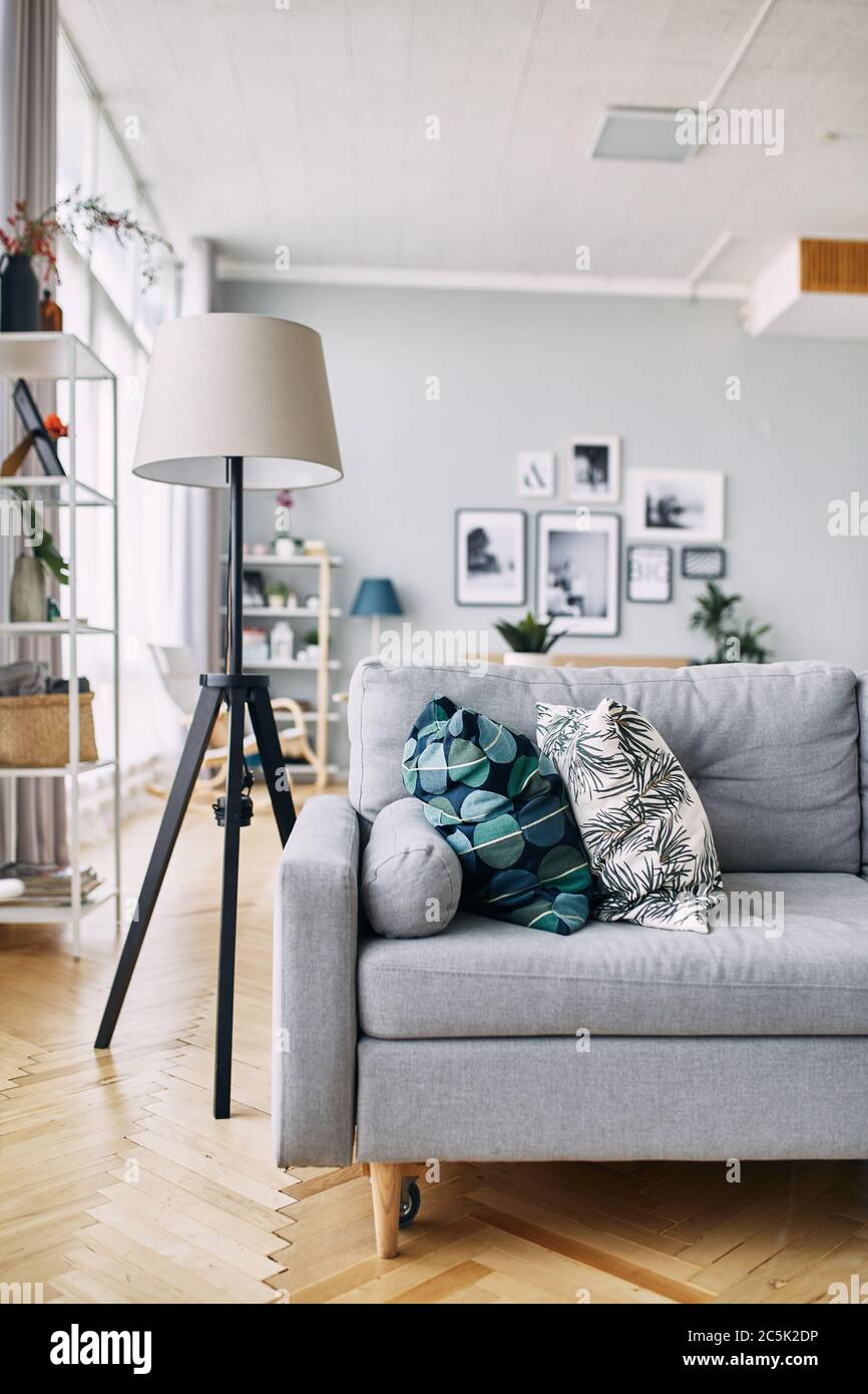 gray sofa and floor lamp in the interior. Stock Photo