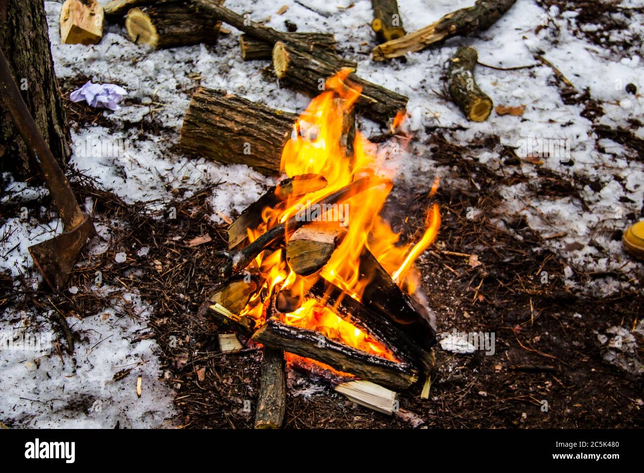 Bonfire in the forest hi-res stock photography and images - Alamy