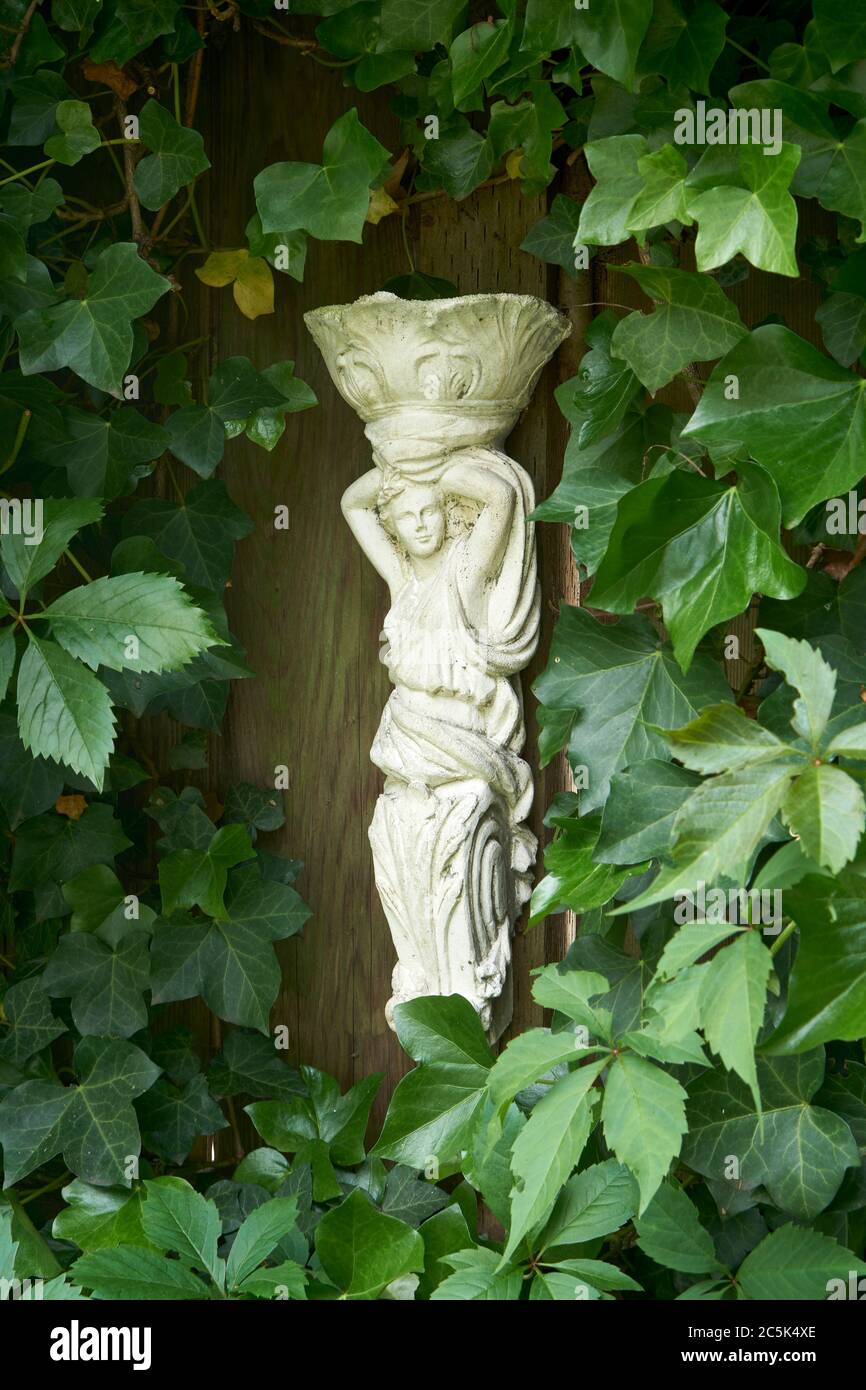 White classical style ceramic figure of a young woman surrounded by green ivy leaves being used as decoration in a garden Stock Photo