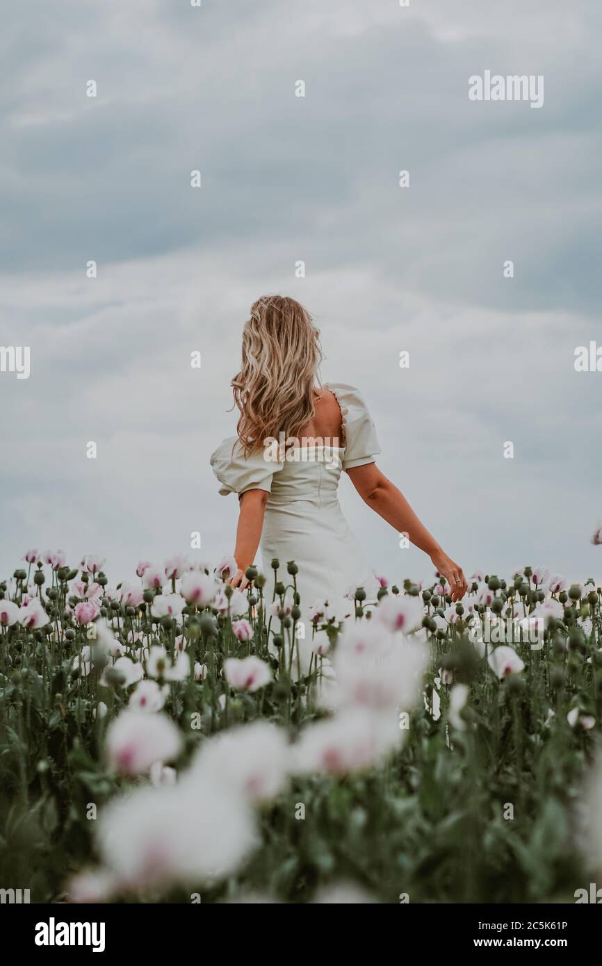 Beautiful blonde woman in pink opium poppy field Stock Photo - Alamy