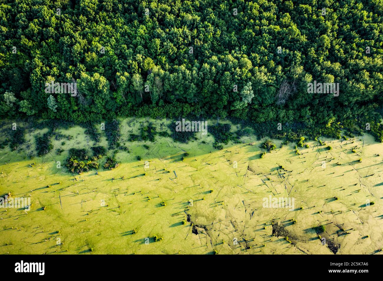 Green forest river aerial hi-res stock photography and images - Alamy