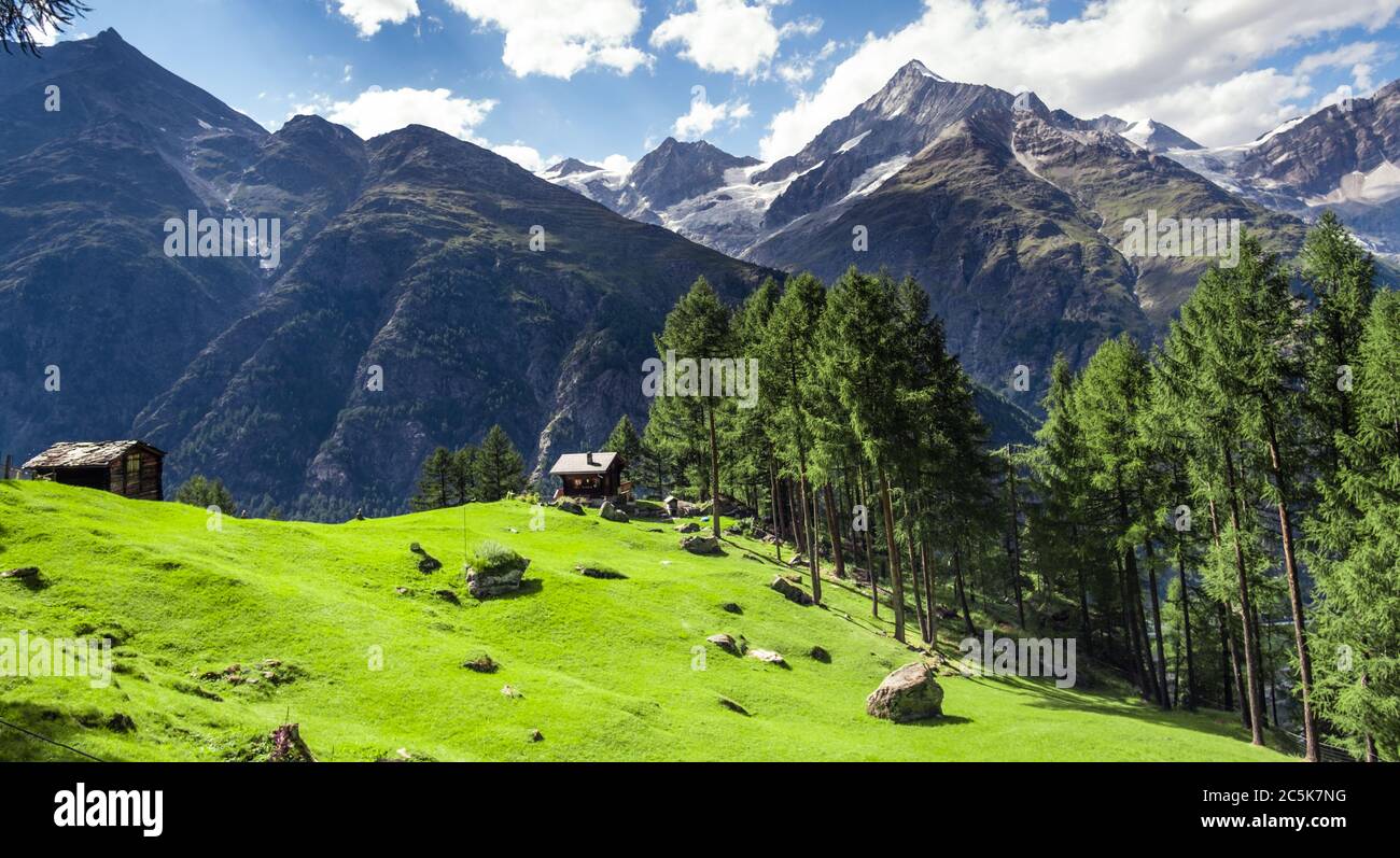 Houses in sunny alpine meadow Stock Photo - Alamy