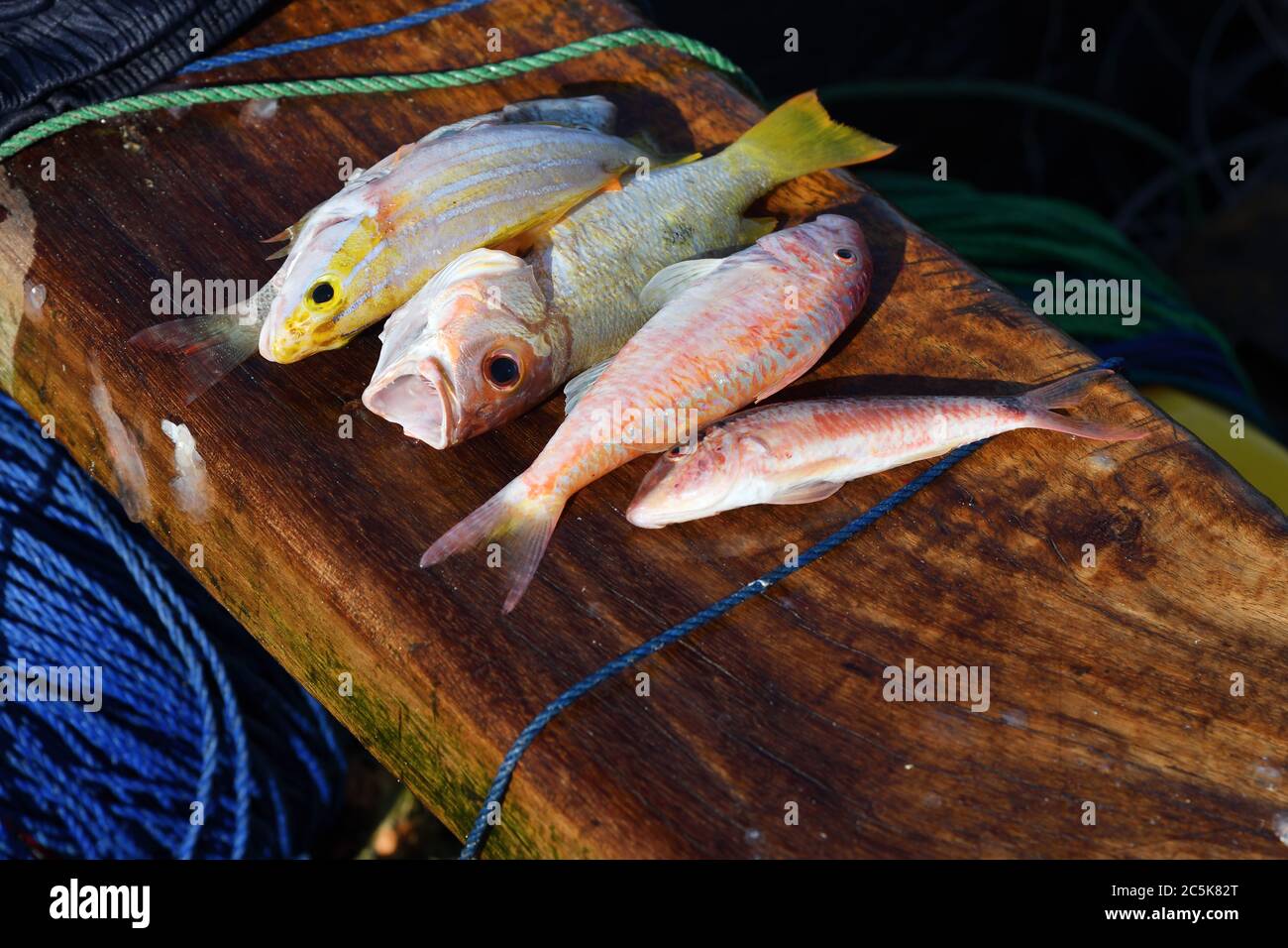 Small fish boat tropical hi-res stock photography and images - Alamy