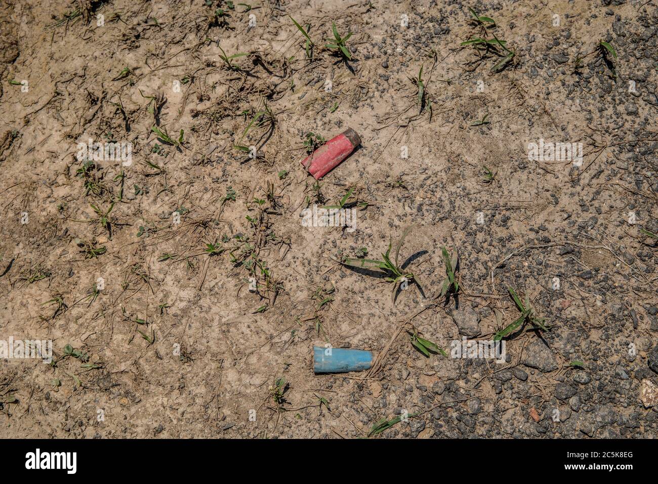 Used and empty shotgun shells from a rifle left and discarded laying on the dirt smashed and buried in the ground Stock Photo