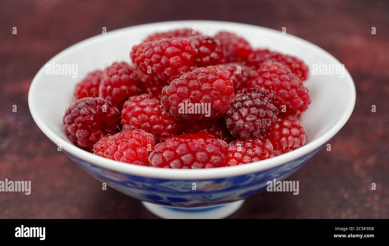 Macro photo of fresh loganberries (Rubus loganobaccus) in a bowl Stock Photo