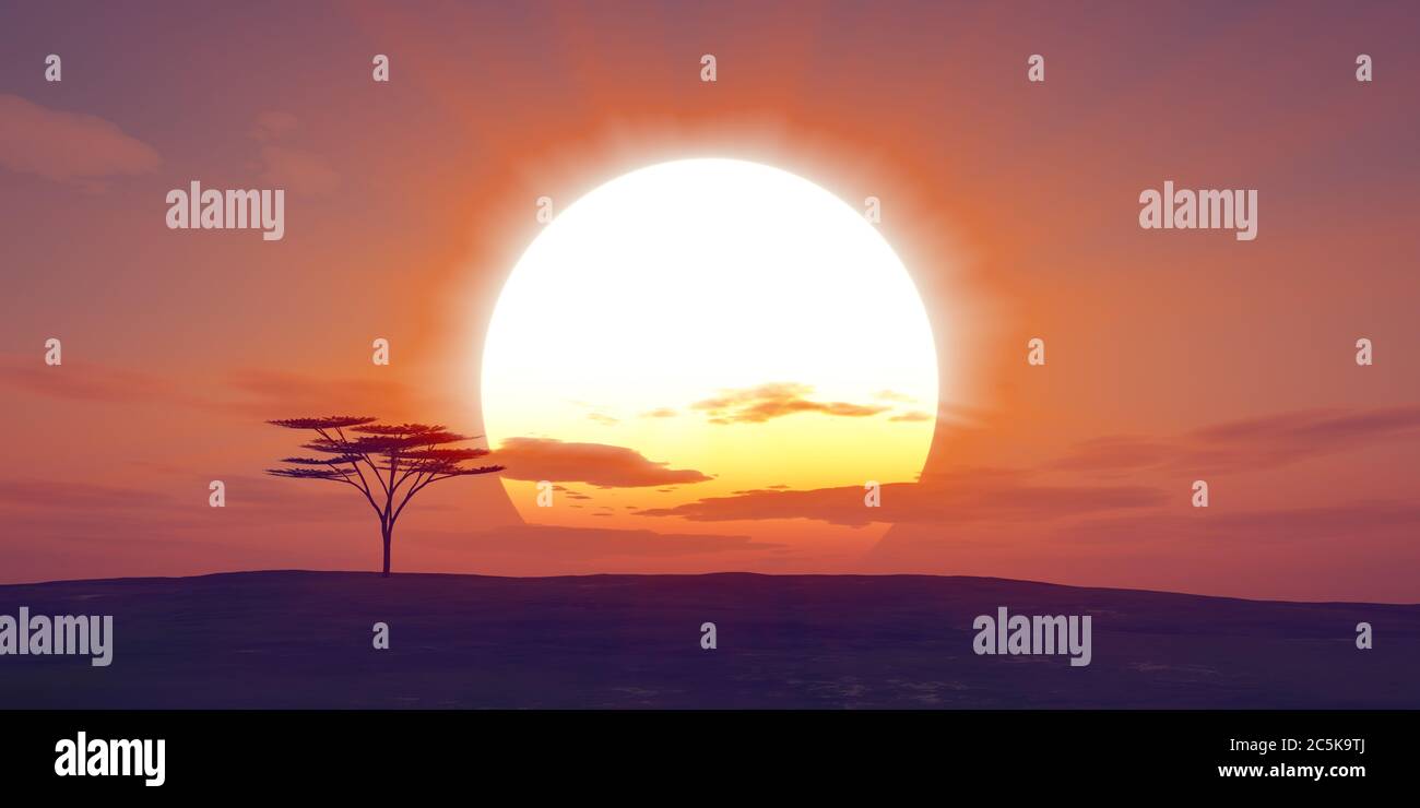 big sun sunset tree landscape, 3d illustrations Stock Photo