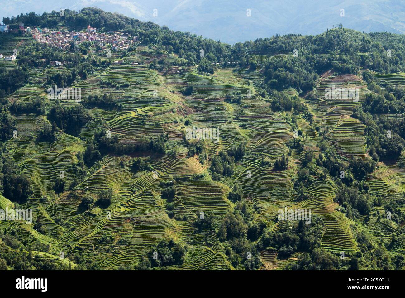 Rice terraces in Yunnan china Stock Photo - Alamy