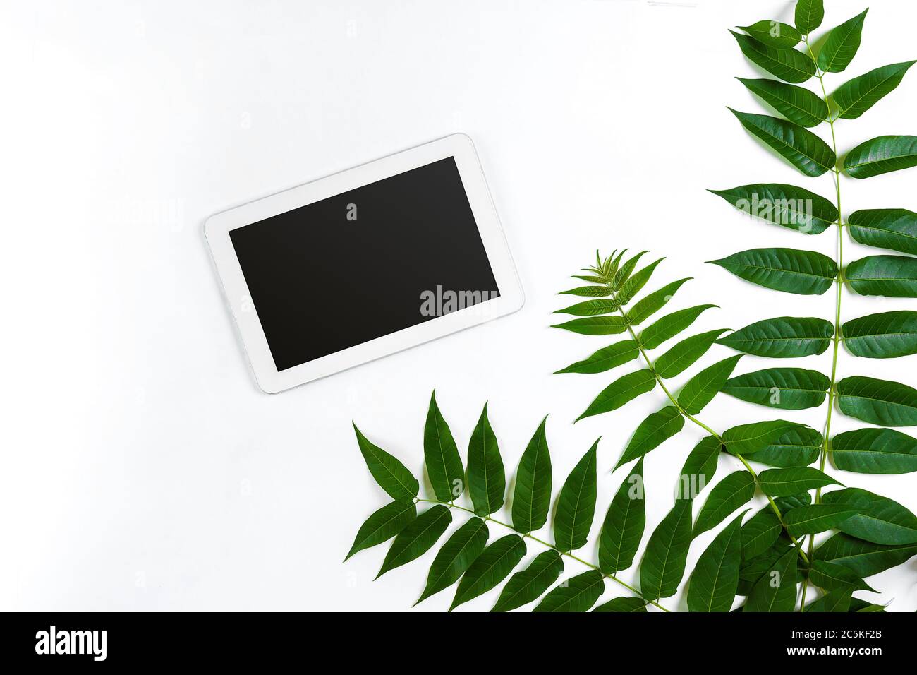 Styled natural eco home office. Tablet with copy space on white