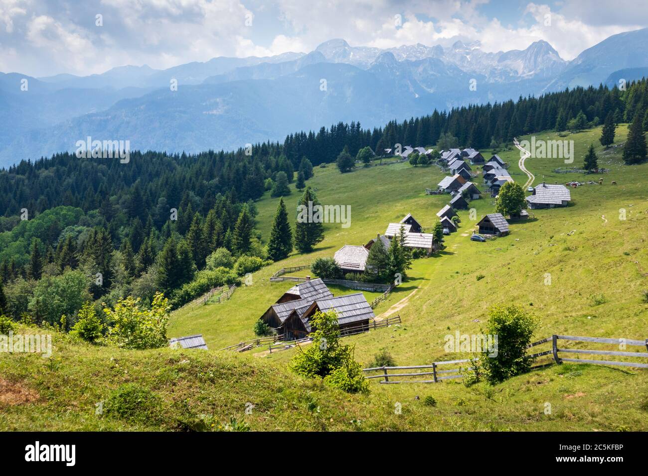 Zajamniki on a plateau Pokljuka in Julian Alps, Triglav national park, Slovenia Stock Photo