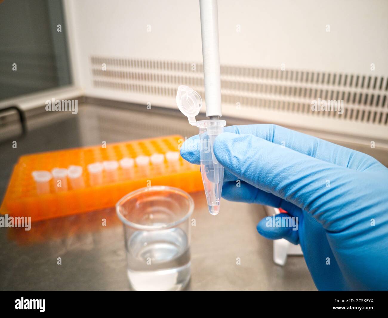 Lab technician in blue medical gloves using an electronic pipette to put liquid in an eppendorf. Researcher and laboratory concepts. Stock Photo