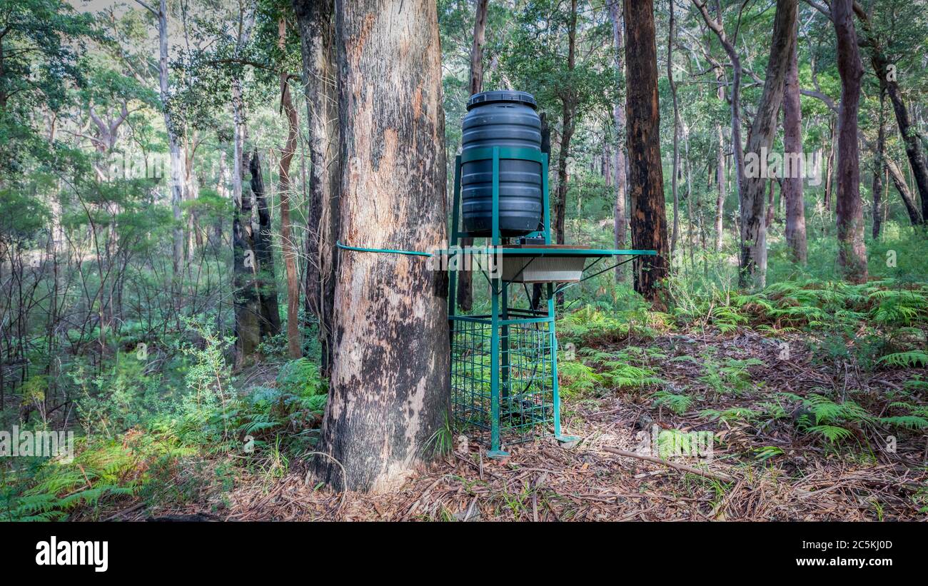 A wildlife watering system in the Australian National Parks program